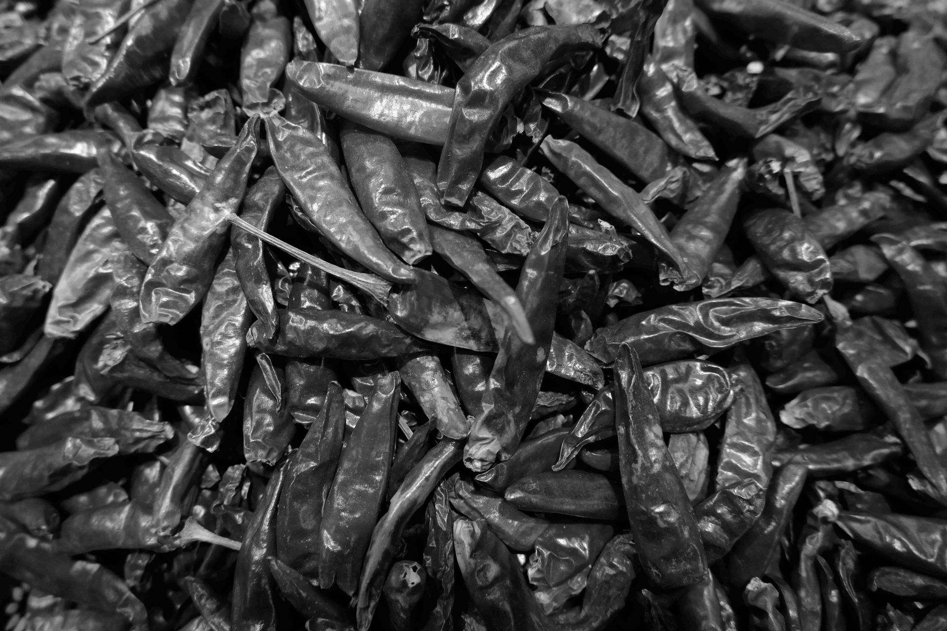 Dried Chili Peppers
